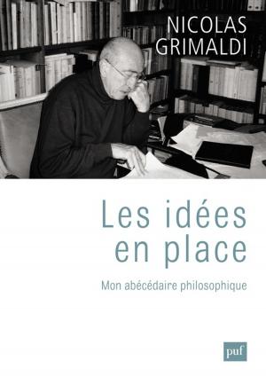 Cover of the book Les idées en place by Colin Mallard