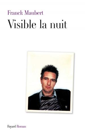 Cover of the book Visible la nuit by Pierre Milza