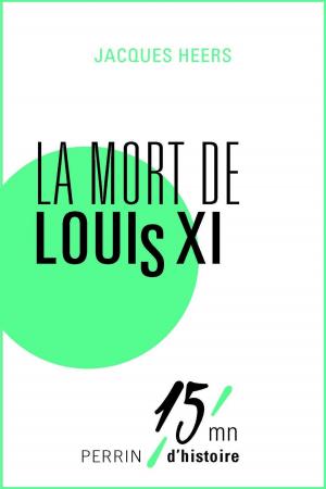 Cover of the book La mort de Louis XI by Olivier SEIGNEUR