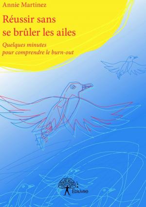 Cover of the book Réussir sans se brûler les ailes by Alain Pelosato