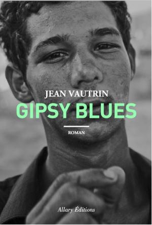 Cover of the book Gipsy Blues by Bernard Kouchner, Adam Michnik