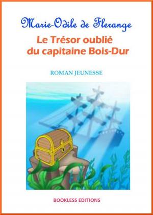 Cover of Le trésor oublié du capitaine Bois-Dur