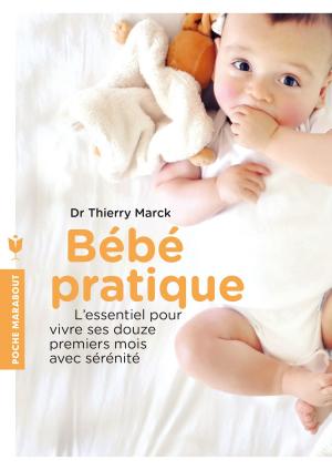 Cover of the book Bébé pratique by Lauren Jameson