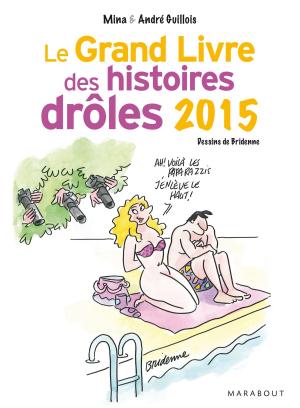 Book cover of Le grand livre des histoires drôles 2015