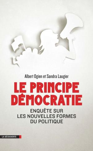 Book cover of Le principe démocratie