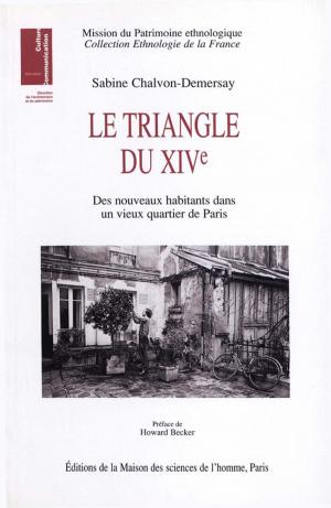 Cover of the book Le triangle du XIVe by Marc Tabani