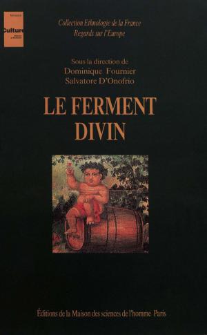 Cover of the book Le ferment divin by Sandrine Revet