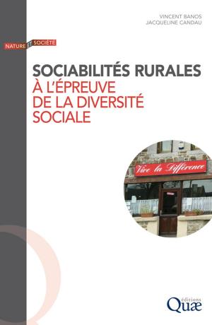 Cover of the book Sociabilités rurales à l'épreuve de la diversité sociale by Jacques Lavabre, Claude Martin