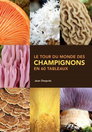 Cover of the book Le tour du monde des champignons en 60 tableaux by Louis Hamelin
