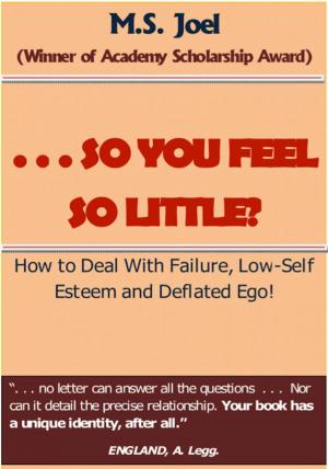 Cover of the book . . . SO YOU FEEL SO LITTLE? by Christian McEwen