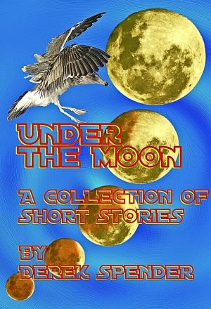 Cover of the book Under The Moon by Charis Constantine
