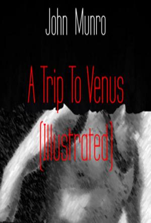 Cover of the book A Trip To Venus (Illustrated) by Fabien Newfield