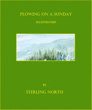 Cover of the book PLOWING ON SUNDAY by Lucy Blake
