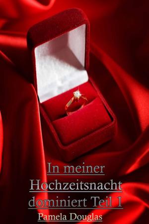 Cover of the book In meiner Hochzeitsnacht dominiert Teil 1 by Carla Blumstein