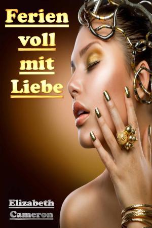 Book cover of Ferien voll mit Liebe
