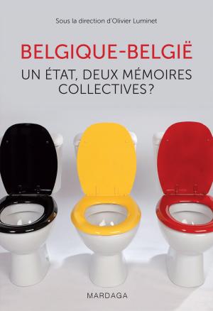 Cover of the book Belgique - België by Michiel Vos, Ellen Swandiak