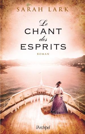 Book cover of Le chant des esprits
