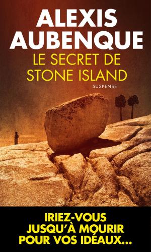 Book cover of Le Secret de Stone Island