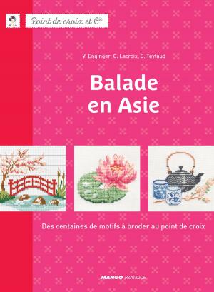 Book cover of Balade en Asie