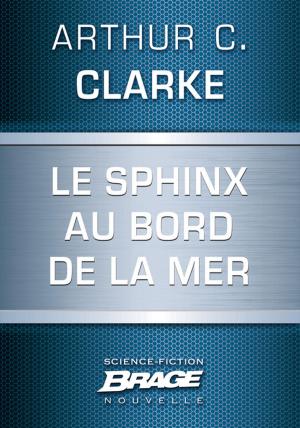 Book cover of Le Sphinx au bord de la mer