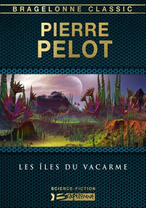Cover of the book Les Îles du vacarme by Pierre Pelot