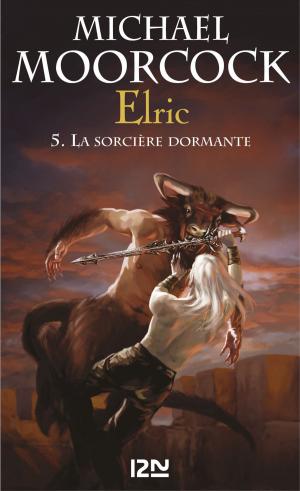 Cover of the book Elric - tome 5 by Brandon SANDERSON