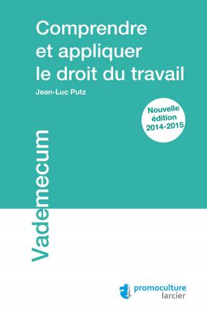 Cover of the book Comprendre et appliquer le droit du travail by Lex Thielen