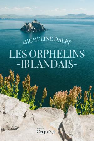 Cover of the book Les orphelins irlandais by Agnès Ruiz