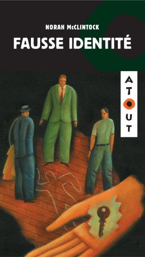 Cover of the book Fausse identité by Jonathan Gaudet
