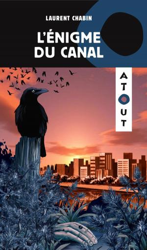 Cover of the book L'énigme du canal by Anne-Michèle Lévesque