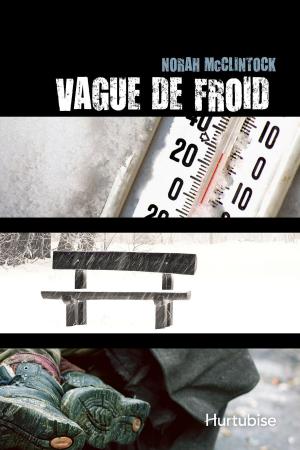 Cover of the book Vague de froid by Luc Gélinas