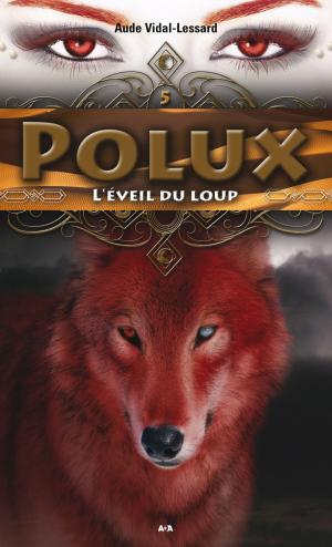 Cover of the book Polux by Dianne Sylvan
