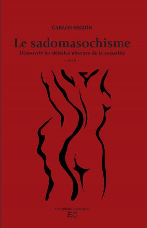 Cover of the book Le sadomasochisme by Max R Ousal