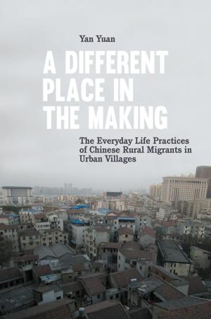 Cover of the book A Different Place in the Making by Martin Wilke