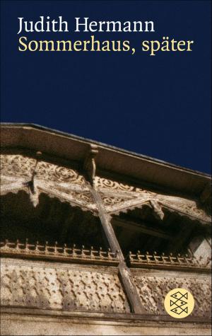 Cover of the book Sommerhaus, später by Jörg Maurer
