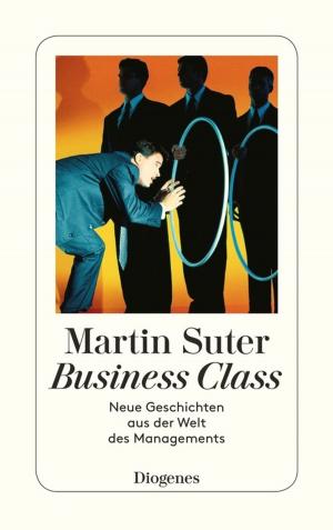 Cover of the book Suter, Business Class II by Lukas Hartmann