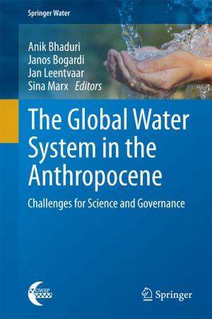 Cover of the book The Global Water System in the Anthropocene by Daniel Pedro Cardinali