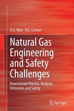 Cover of the book Natural Gas Engineering and Safety Challenges by Friedrich-W. Wellmer, Peter Buchholz, Jens Gutzmer, Christian Hagelüken, Peter Herzig, Ralf Littke, Rudolf K. Thauer