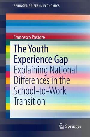 Cover of the book The Youth Experience Gap by Aiqing Zhang, Liang Zhou, Lei Wang
