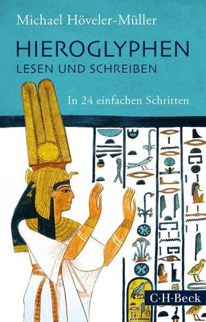 Cover of the book Hieroglyphen lesen und schreiben by Norbert Hoerster