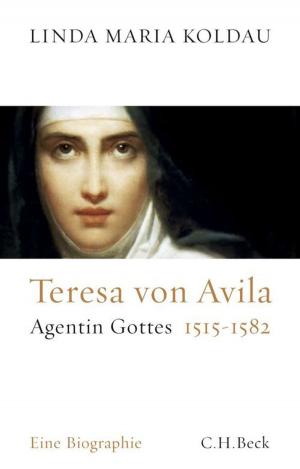 Cover of the book Teresa von Avila by Joachim Mohr