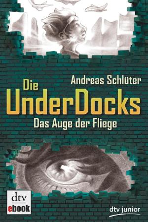 Cover of the book Das Auge der Fliege Die UnderDocks 2 by Sarah J. Maas