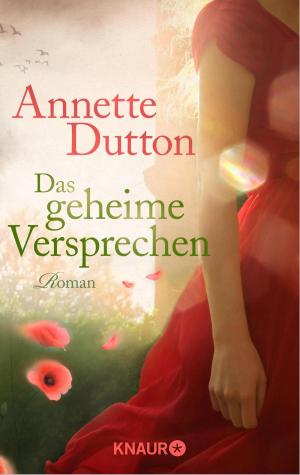 Cover of the book Das geheime Versprechen by Marc Ritter, CUS
