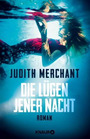 Cover of the book Die Lügen jener Nacht by Marc Ritter, CUS