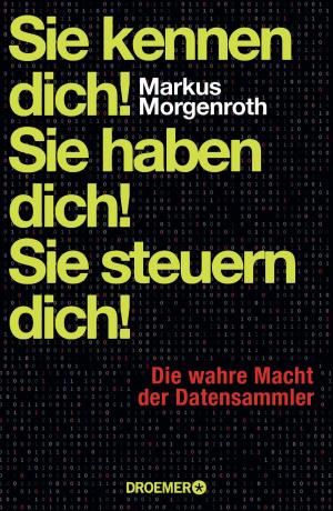 Cover of the book Sie kennen dich! Sie haben dich! Sie steuern dich! by Friedrich Ani