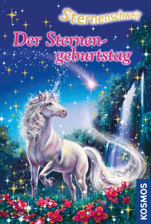 Cover of the book Sternenschweif, 43, Der Sternengeburtstag by Barbara Pölzer