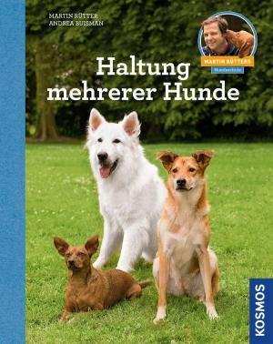 Book cover of Haltung mehrerer Hunde