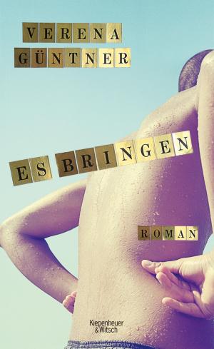 Cover of the book Es bringen by Maxim Biller