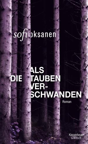 Cover of the book Als die Tauben verschwanden by Moritz Rinke