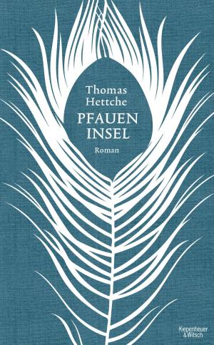 Cover of the book Pfaueninsel by Joachim Meyerhoff